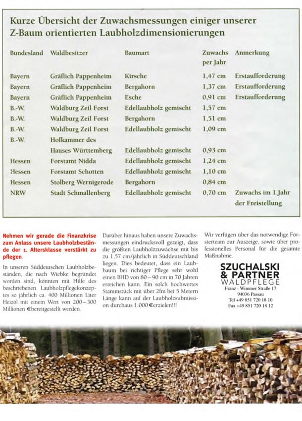 Moderne Laubholzbewirtschaftung